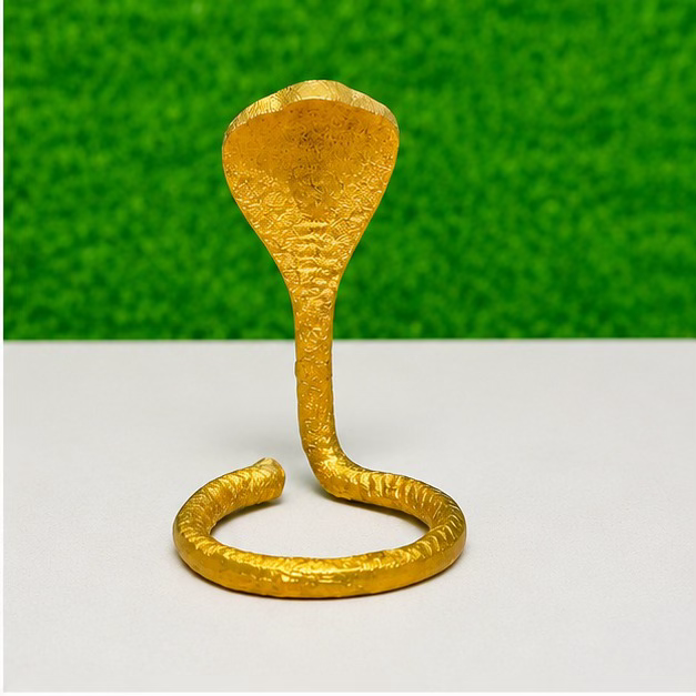 Golden Naag for Shivling — Original accessory photo